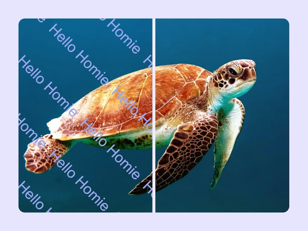 A seaside photo split down the middle: the left half shows a bright white timestamp in the corner, the right half shows the same scene with the timestamp magically gone, courtesy of the Free AI Watermark Remover.