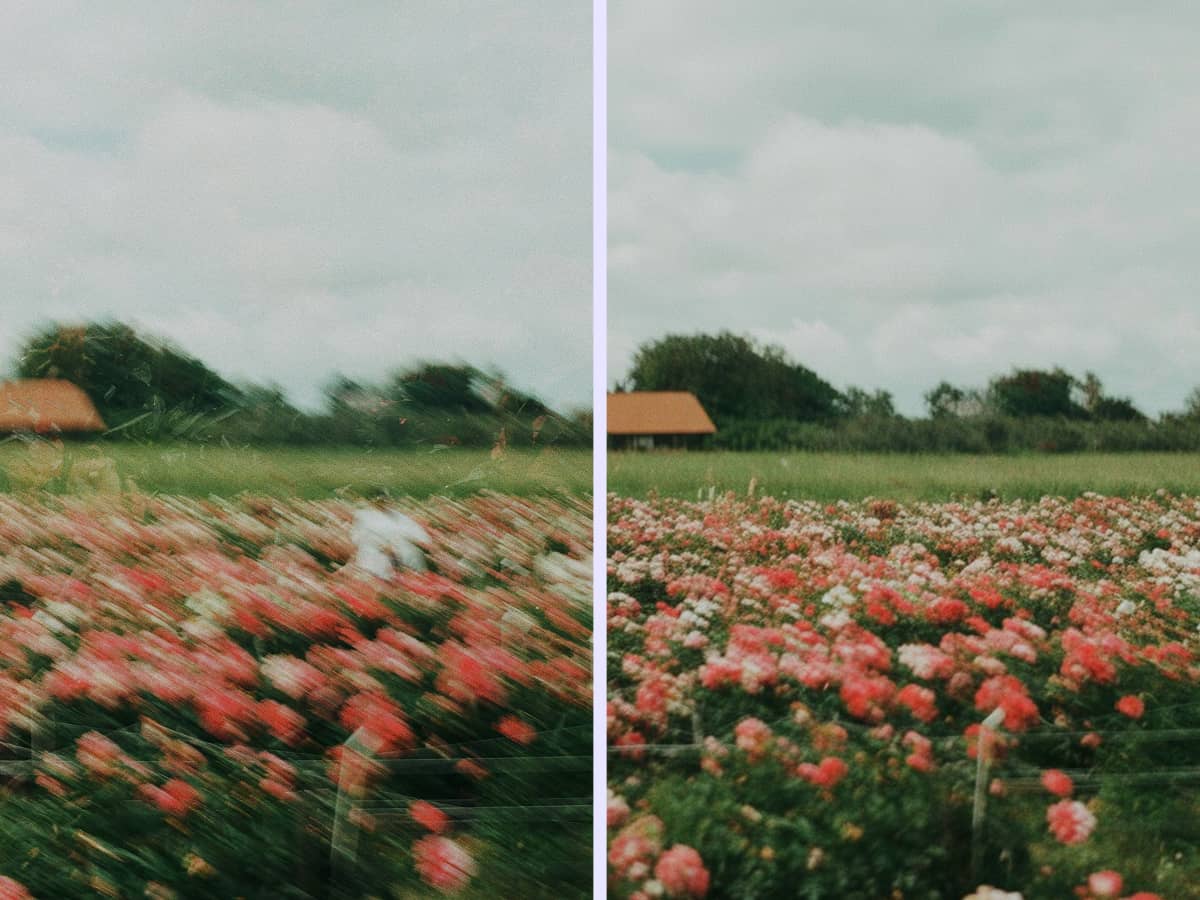 A split-screen comparison showing the AI Unblur Image tool in action. The 'before' side is a blurry photo of a running dog, and the 'after' side shows the same dog in sharp, crystal-clear focus.